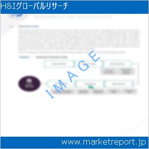 市場と産業調査レポートのイメージ